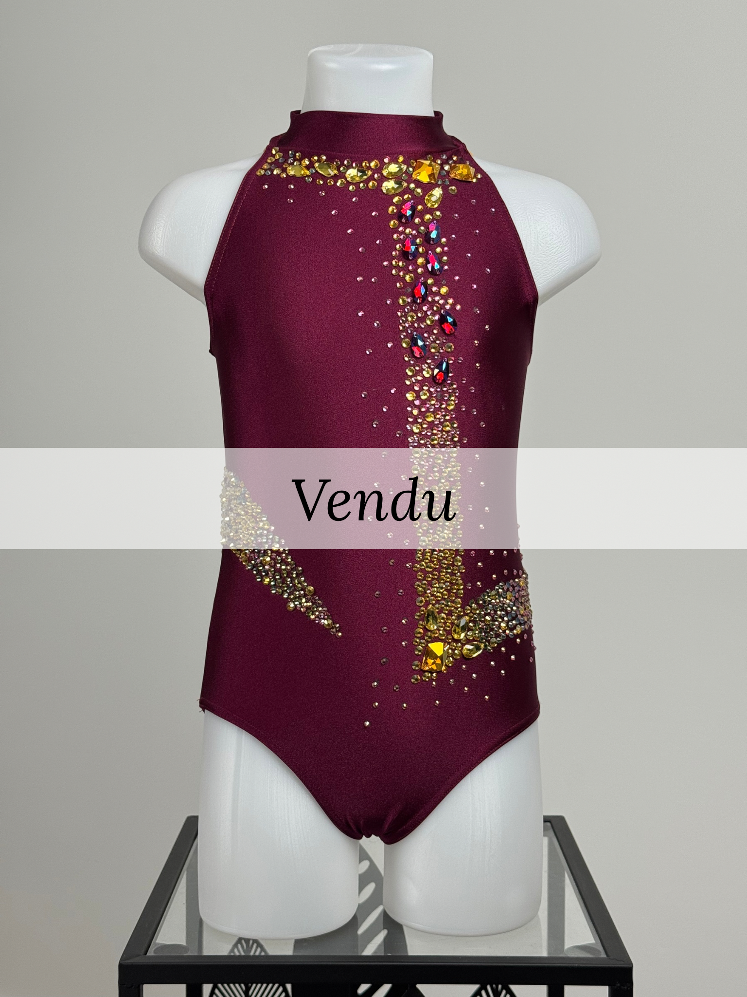 Justaucorps d'occasion GR prune, vue de face, taille 8-10 ans, vendu